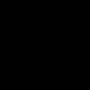 Meet your Posher, Chase